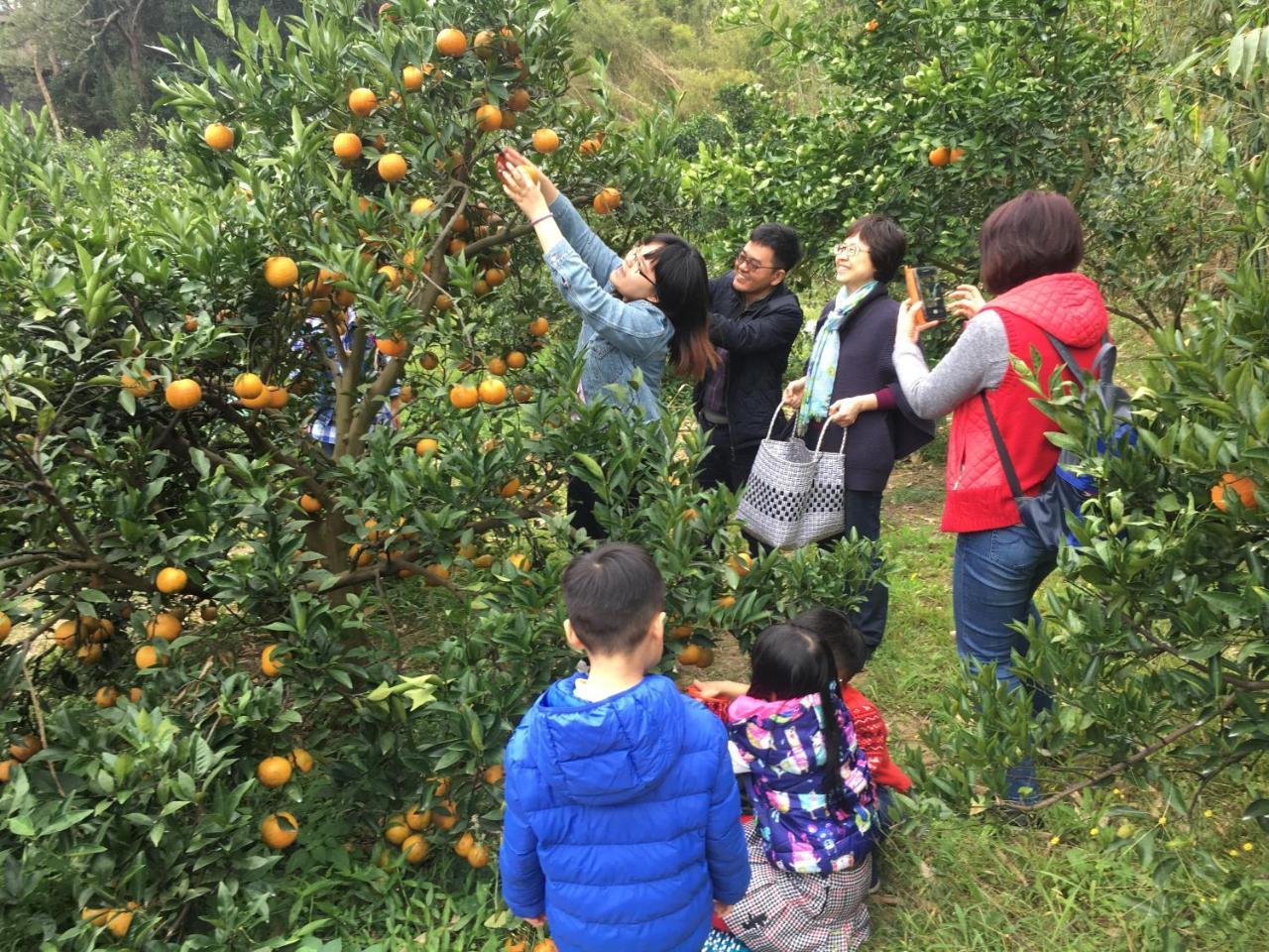 Fanny Manor B&B Emei Buitenkant foto
