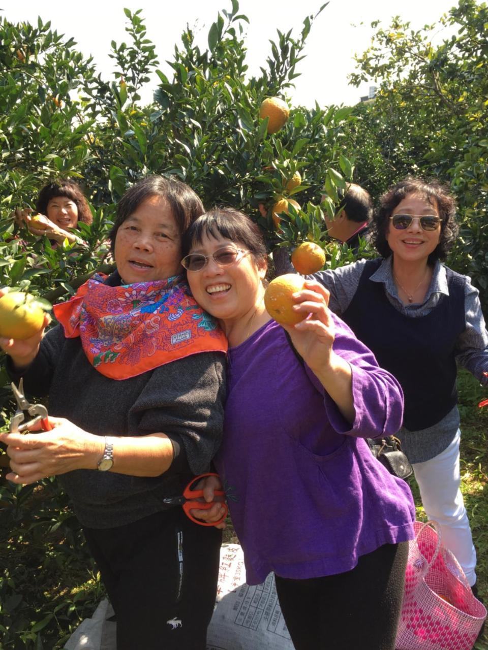 Fanny Manor B&B Emei Buitenkant foto